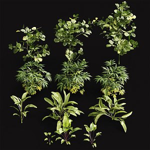 Meadow Lawn Grassland Set 004 3D model