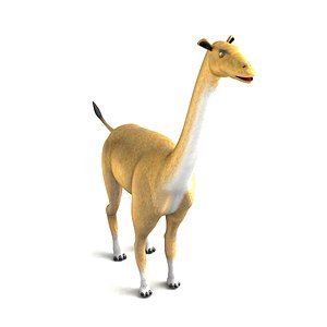 Aepycamelus
