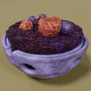 3D Nucleus structure schematic 3d model