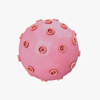 Nucleus