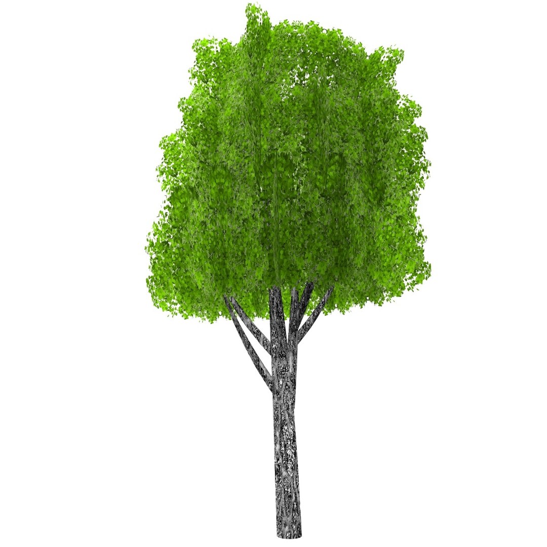 Pc Tree 3d Model