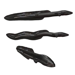 Electric eel