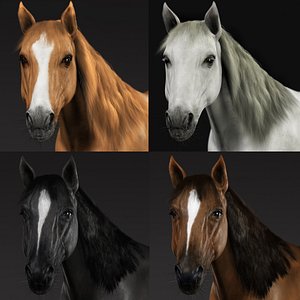 3d obj horses fur