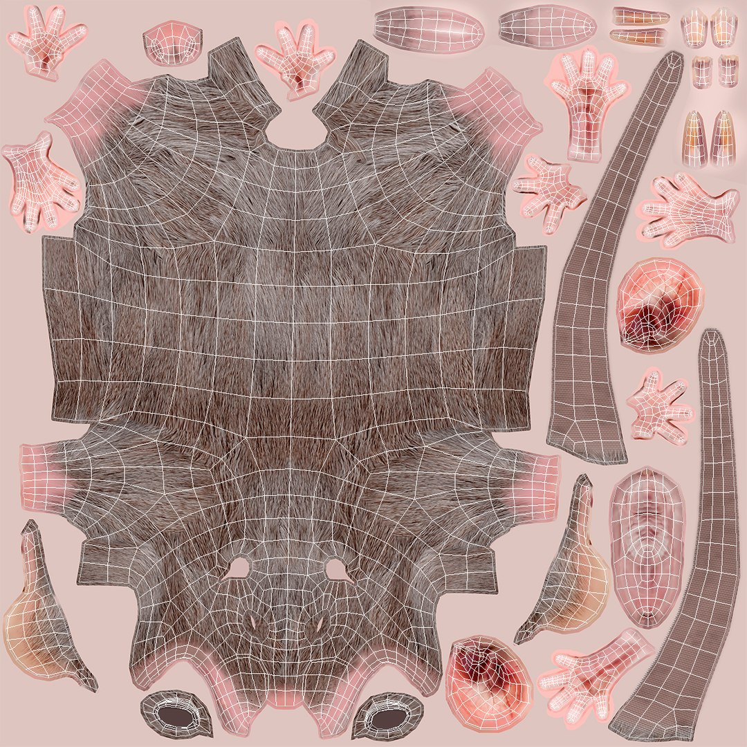 3D Running White Rat Fur Animated Rigged https://p.turbosquid.com/ts-thumb/as/MK5qPB/2h/running_white_rat_fur_animated_rigged_013/jpg/1755144086/1920x1080/fit_q87/9ac61b64e58517eeb8ed150427e3ef04d75cf56b/running_white_rat_fur_animated_rigged_013.jpg