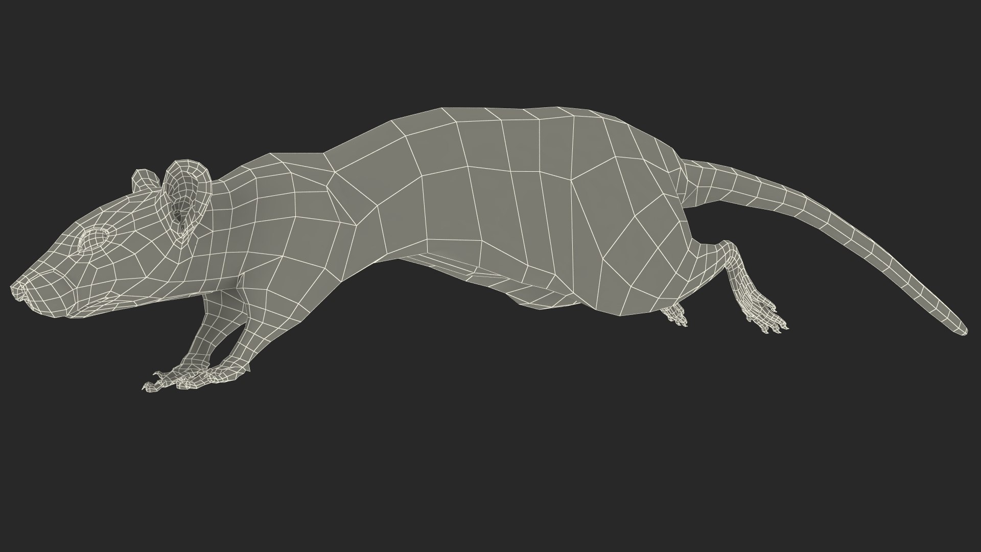 3D Running White Rat Fur Animated Rigged https://p.turbosquid.com/ts-thumb/as/MK5qPB/3R/running_white_rat_fur_animated_rigged_019/jpg/1755144110/1920x1080/fit_q87/e812f177cff36985cc251631a51d2ab54e00f909/running_white_rat_fur_animated_rigged_019.jpg