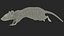 Running White Rat Fur Animated Rigged