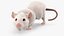 Running White Rat Fur Animated Rigged