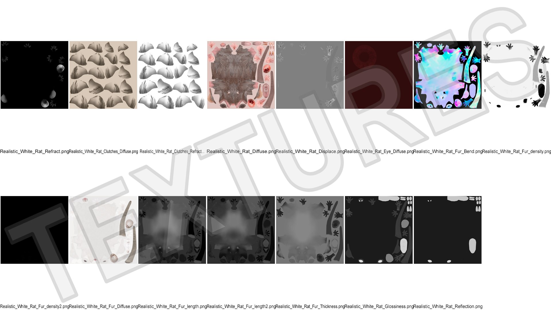 3D Running White Rat Fur Animated Rigged https://p.turbosquid.com/ts-thumb/as/MK5qPB/eX/running_white_rat_fur_animated_rigged_016/jpg/1755144098/1920x1080/fit_q87/ff01cdb457c1374f5ca824d20bbb8839d035775a/running_white_rat_fur_animated_rigged_016.jpg