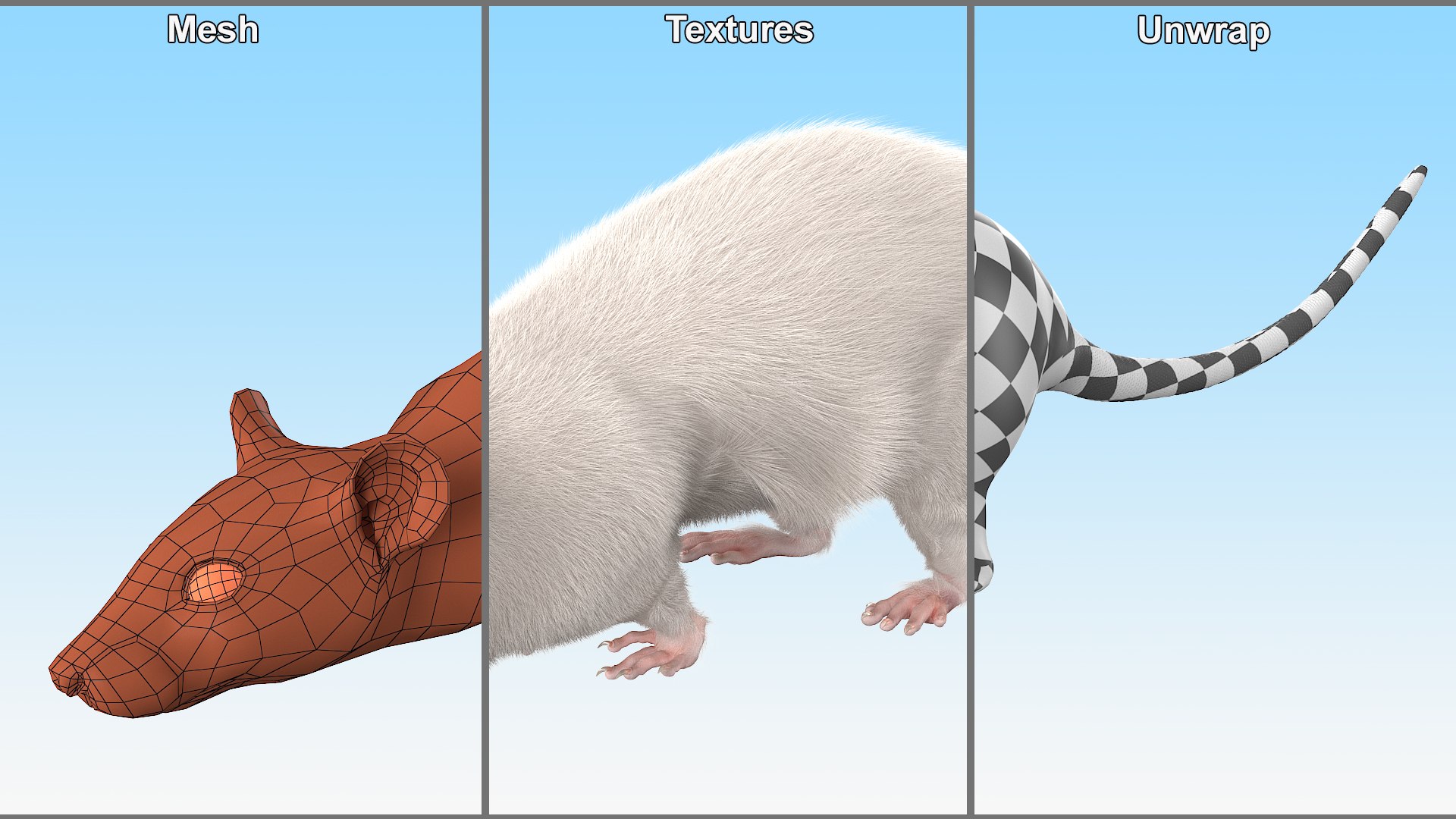3D Running White Rat Fur Animated Rigged https://p.turbosquid.com/ts-thumb/as/MK5qPB/lu/running_white_rat_fur_animated_rigged_012/jpg/1755144082/1920x1080/fit_q87/1982b573e23a94a38c288a8a8573584a4e382446/running_white_rat_fur_animated_rigged_012.jpg