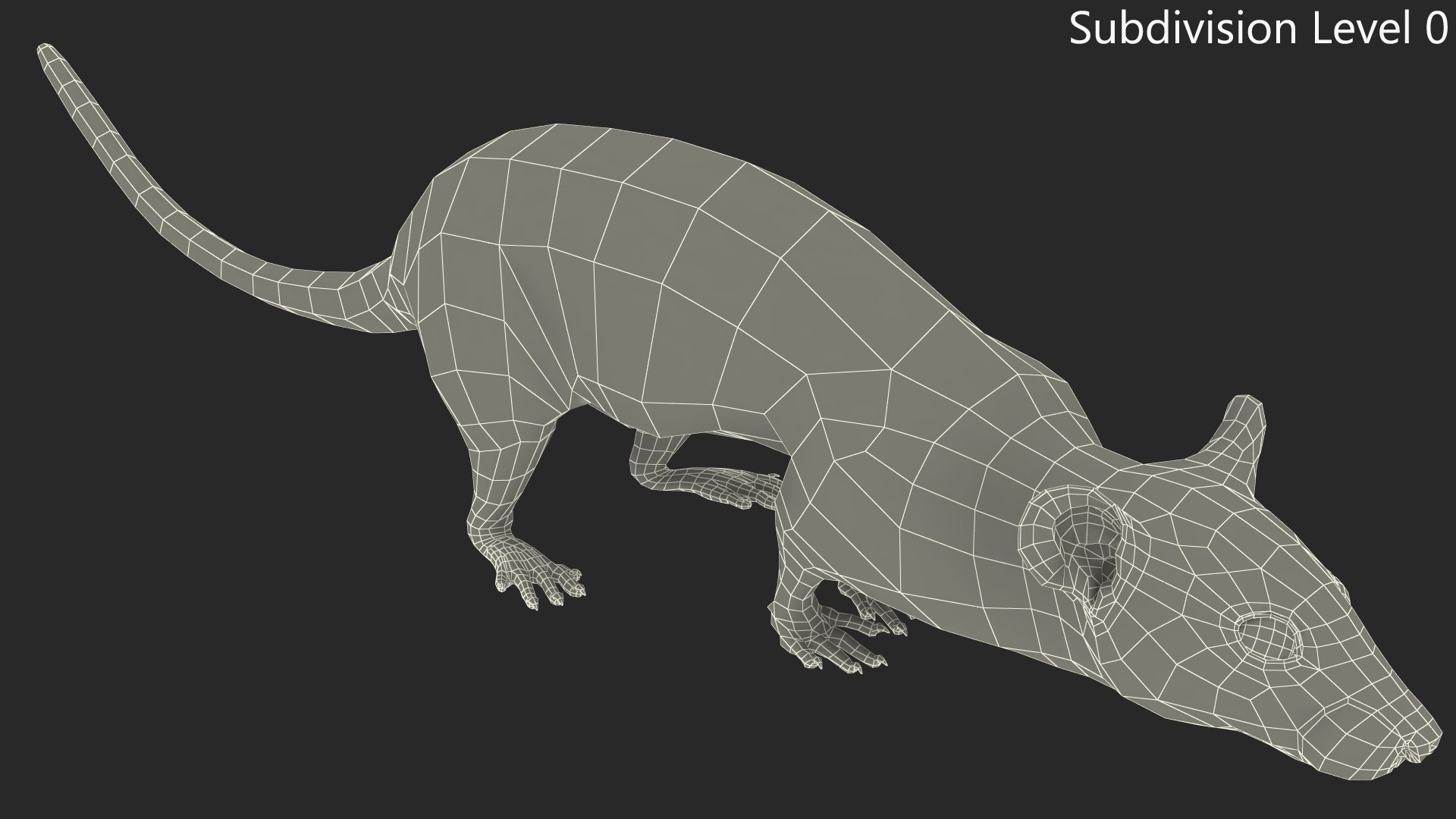 3D Running White Rat Fur Animated Rigged https://p.turbosquid.com/ts-thumb/as/MK5qPB/uU/running_white_rat_fur_animated_rigged_014/jpg/1755144090/1920x1080/fit_q87/fc33000e60aa28c5ece9dd5df666eddacc6ca16c/running_white_rat_fur_animated_rigged_014.jpg