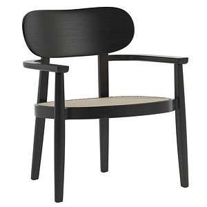 3D lounge armchair 119 F