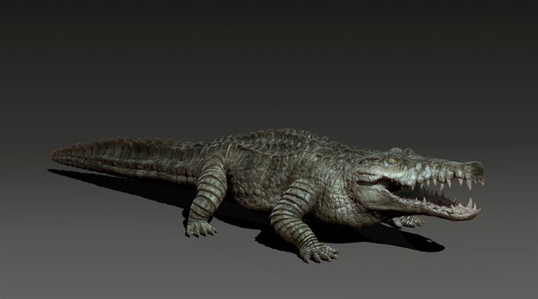 Animal crocodile 3D - TurboSquid 1685561