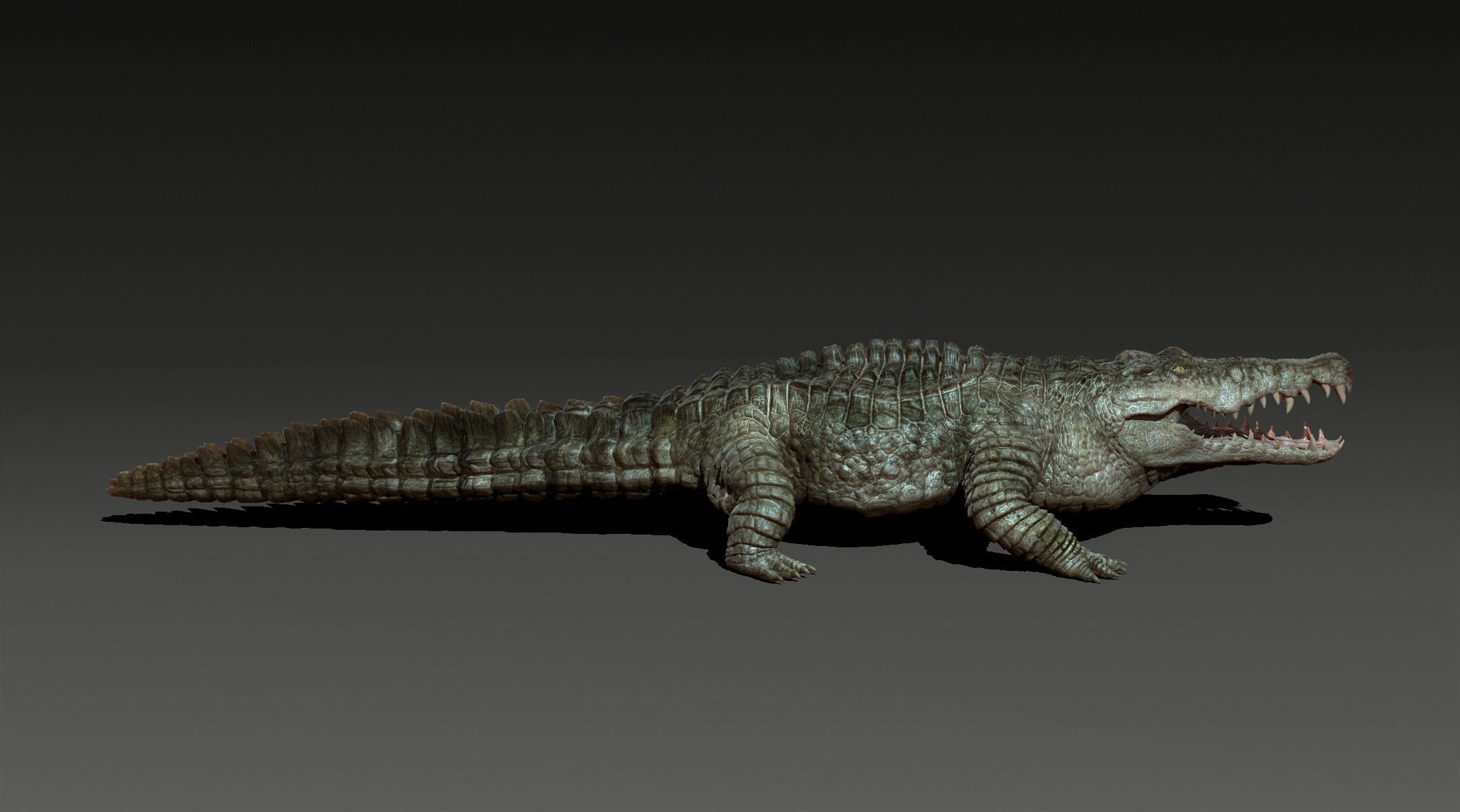 Animal crocodile 3D - TurboSquid 1685561