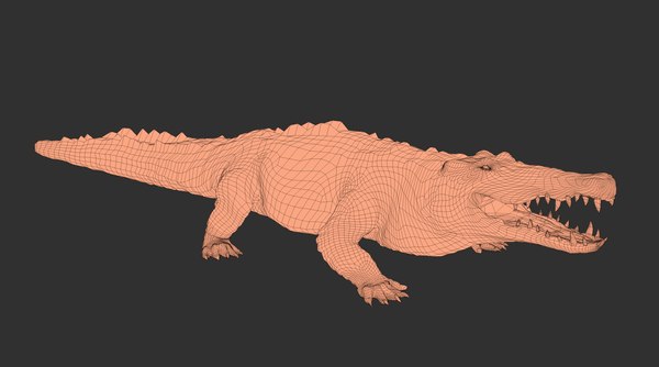 Animal crocodile 3D - TurboSquid 1685561