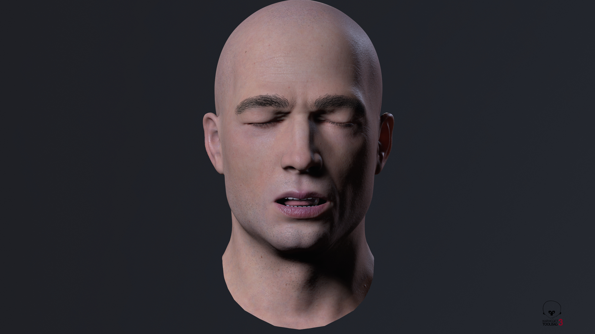  01 3D TurboSquid 1776106