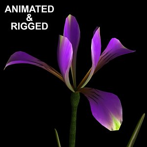 3D model flowers open