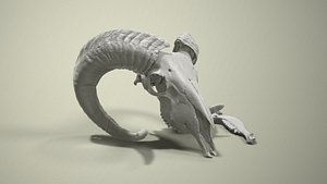 3D Deadly Skull 03 - Goat Skull