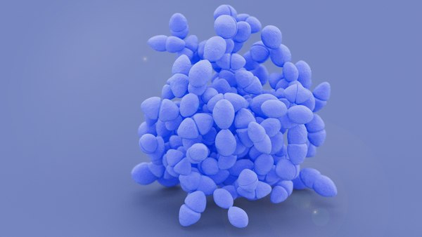 modelo 3d enterococo - TurboSquid 2141830