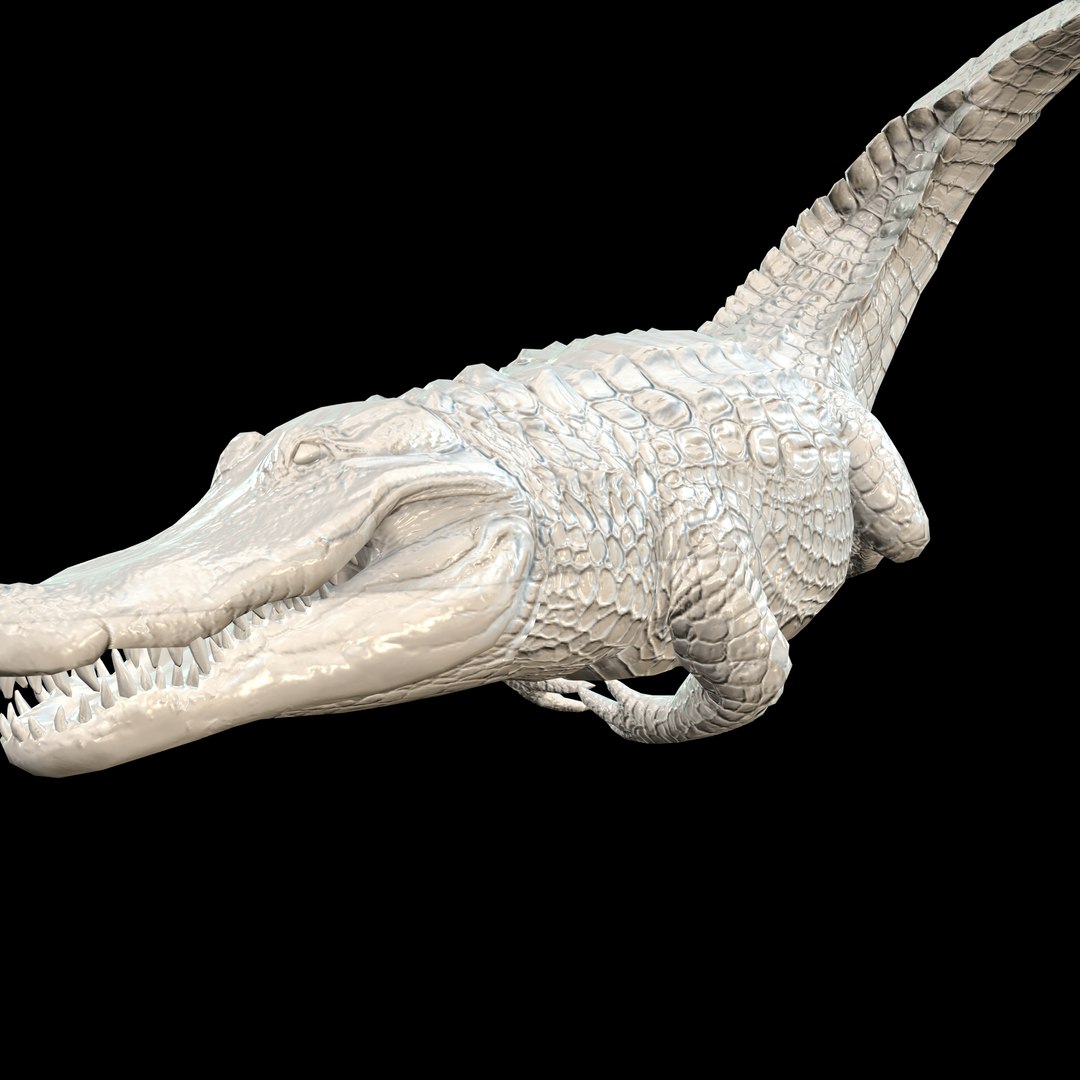 ALLIGATOR REPTILE MAMMAL WATER SEA Model - TurboSquid 2210923