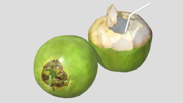 modelo 3d Coco 02 Low Poly - TurboSquid 2272651