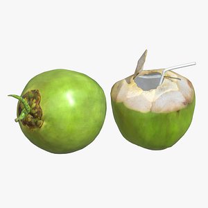 Coconut 02 Low Poly 3D model