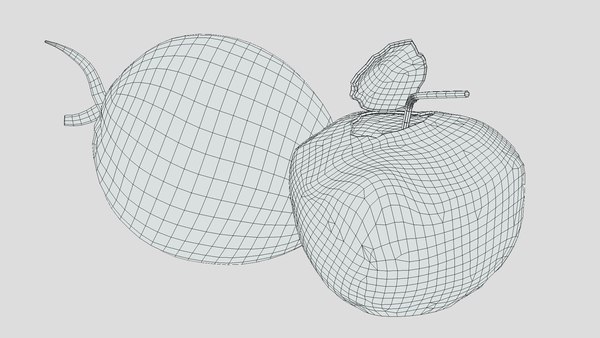 modelo 3d Coco 02 Low Poly - TurboSquid 2272651