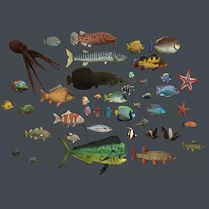 Underwater Life 3D model