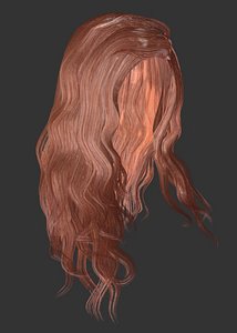 female hairstyle long hair model