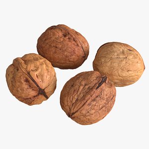 3D photogrammetry unshelled walnuts model