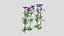 3D Meadow Cranesbill Flower Low Poly