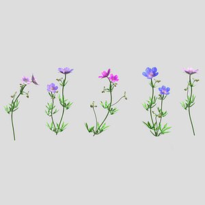 3D Meadow Cranesbill Flower Low Poly