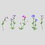 3D Meadow Cranesbill Flower Low Poly