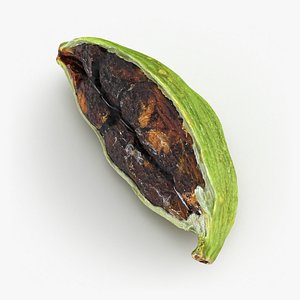 Green Cardamom Pods - 3D Scanned