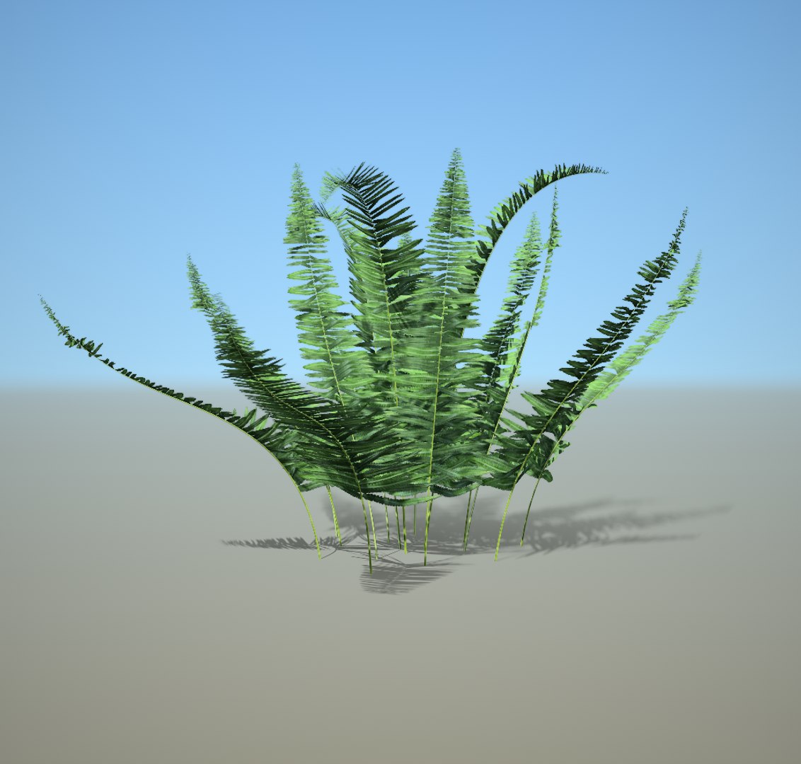 3D fern https://p.turbosquid.com/ts-thumb/au/Hv1Omk/zfj4t7OQ/2/png/1591441944/1920x1080/fit_q87/482d46084667135f4b7861e6360e600a9562547c/2.jpg