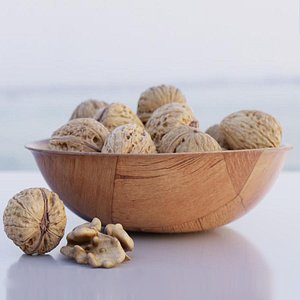 Walnut nut hazelnut food model