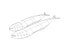 mackerel