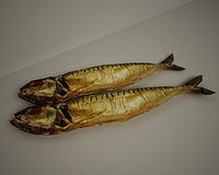 mackerel