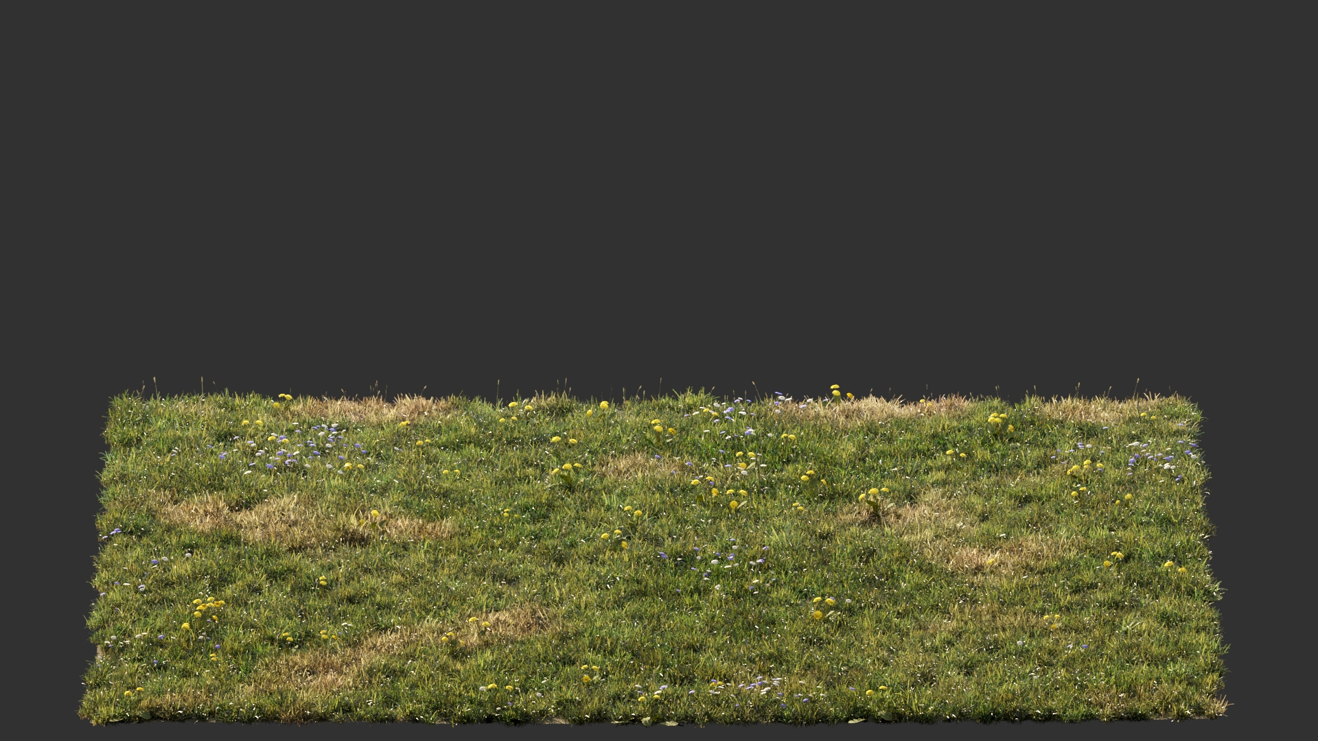 3D Grass For Mountainous Terrain - TurboSquid 2180814