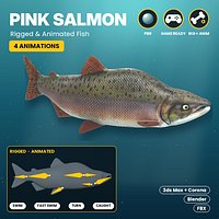 Pink Salmon Fish