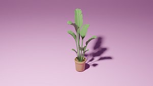 Large leaf plant 3D model
