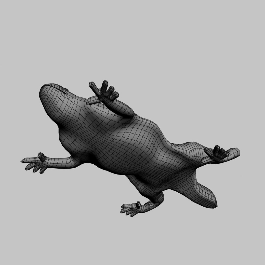 Max Dragon Rigged
