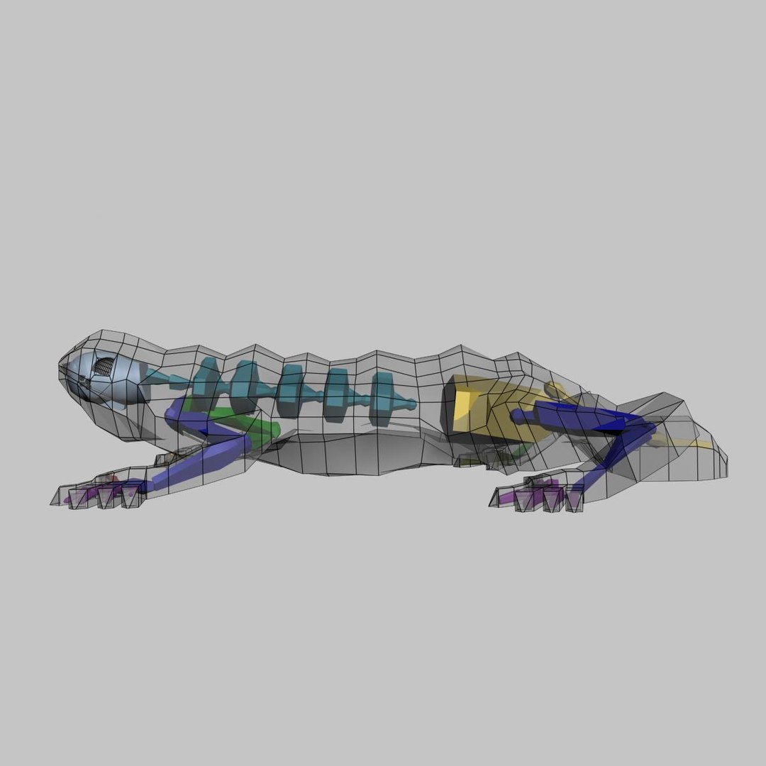 Max Dragon Rigged