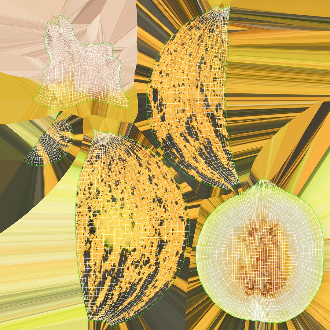 3D model Turkish Melon 01 Half - TurboSquid 1967268