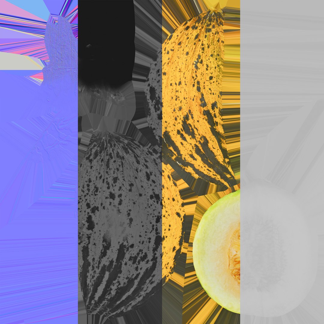 3D model Turkish Melon 01 Half - TurboSquid 1967268