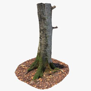 Scanned Forest Tree Trunk 01 3D