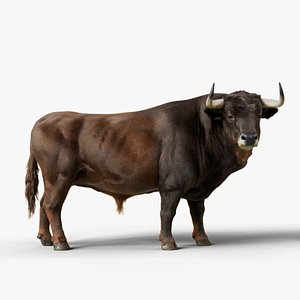 Bull Rigged Blender