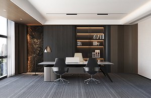 Contemporary Executive Office and Lounge