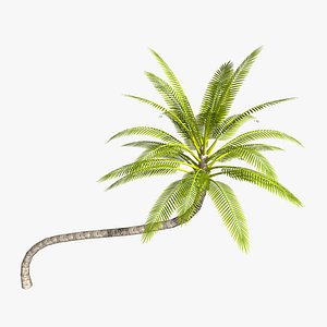 Game Ready Coconut palm tree - horizontal