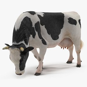 3D grass eating cow animal