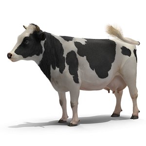 3D grass eating cow animal